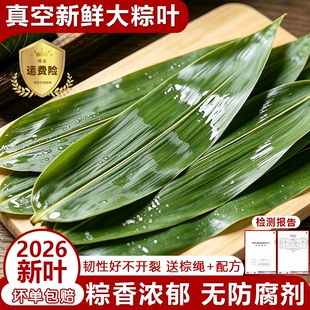 粽叶新鲜粽子叶大号包粽子叶子端午节特大粽叶箬竹叶现摘真空包装