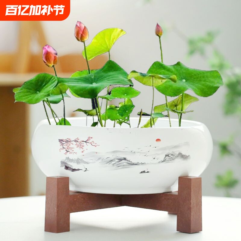 水仙花盆陶瓷铜钱草水培睡莲碗莲金钱草专用盆缸无孔大莲花植物