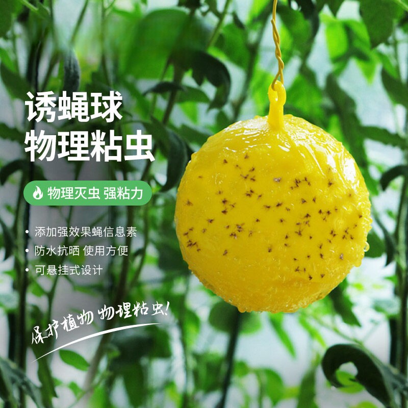 果树柑橘粘虫球厨房诱蝇球果实蝇大小实蝇菜园诱粘球果蝇球诱捕器