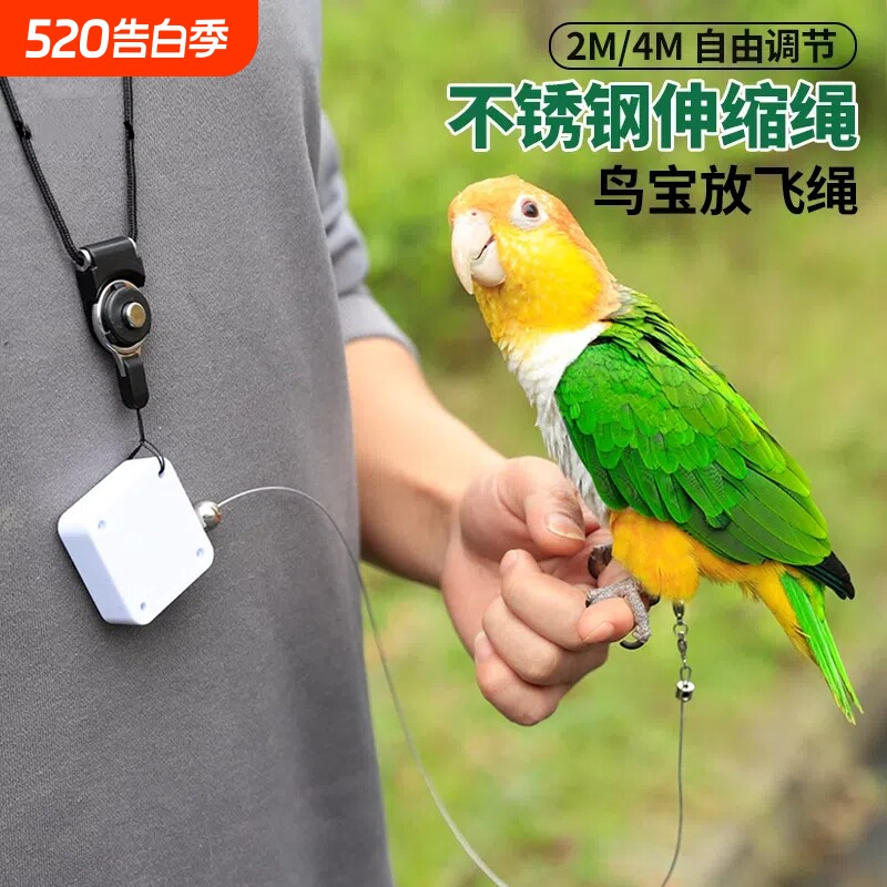 鹦鹉放飞绳虎皮牡丹玄凤自动伸缩遛鸟绳外出飞行小鸟不伤脚牵引绳