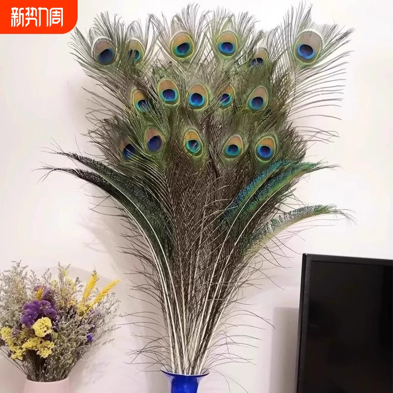 新天然真孔雀羽毛家居摆件孔雀翎尾毛客厅花瓶装饰品招财纳福婚庆