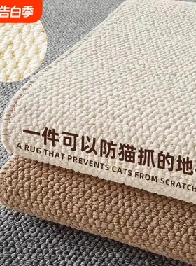 客厅卧室仿羊毛地毯茶几毯榻榻米飘窗地垫仿剑麻入户防猫抓灰色
