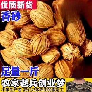 川砂仁香砂沙仁金砂仁优质四川特产炖肉卤菜调料香料大全