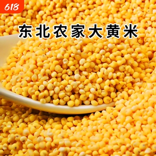一把锄头东北大黄米黄糯米当季农家粗粮杂粮新米特产粘豆包粽子
