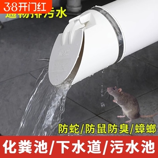 PVC排水管防返臭污水单向止回阀50/75/110防臭蚊虫鼠蛇止逆阀外盖