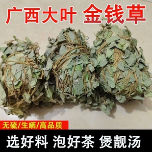 广西正宗金钱草广金钱草大叶金钱草结肾整捆金钱草官方正品旗舰店