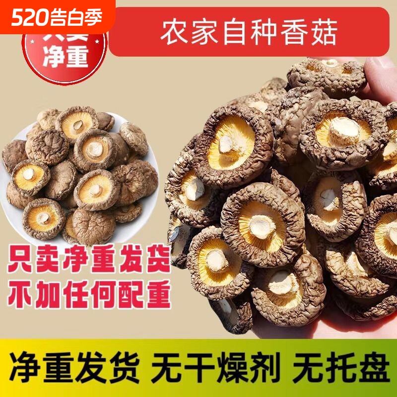 当季新货香菇干货新鲜农家肉厚无根煲汤批发价香茹菌菇无熏硫源头
