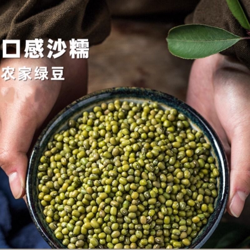 【亏本冲量】绿豆新货农家自产小绿豆糕饼绿豆汤材料新鲜夏季消暑