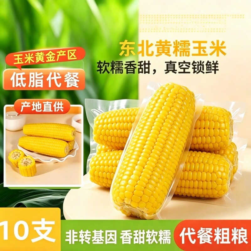 东北黏糯黄玉米黑土种植一年一季非转基因营养粗粮大棒10支装早餐