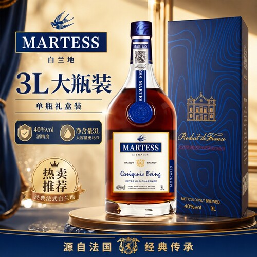 法国蓝带白兰地xo进口洋酒