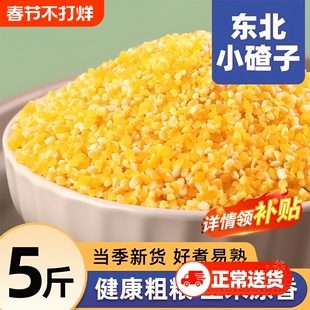 东北玉米碴子小碴子粥粘玉米糁细小玉米粒黏笨苞米碎粒农家自产