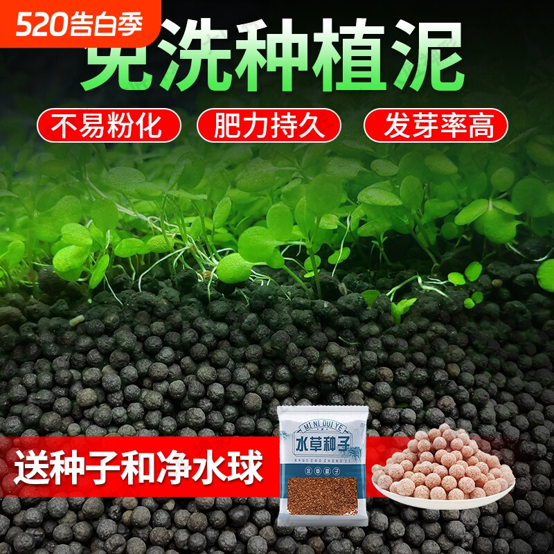 鱼缸专用水草泥种子生态鱼缸造景底部砂石免洗陶粒砂水藻泥碗莲泥