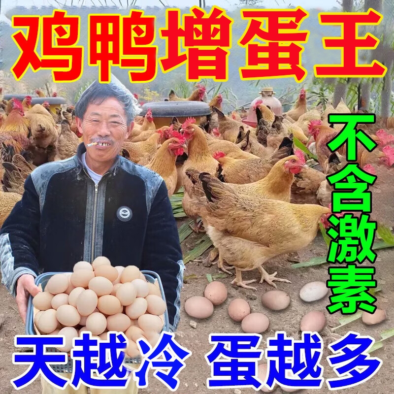 鸡下蛋专用蛋多多增蛋鸡鸭鹅鸽禽用产蛋灵增蛋素软壳蛋饲料下蛋宝