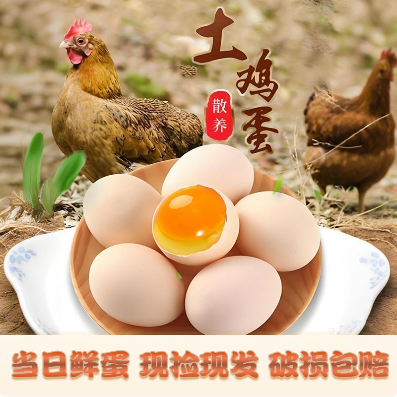 农家新鲜散养土鸡蛋正宗笨鸡蛋谷物鲜鸡蛋虫草蛋当日鲜蛋破损包赔