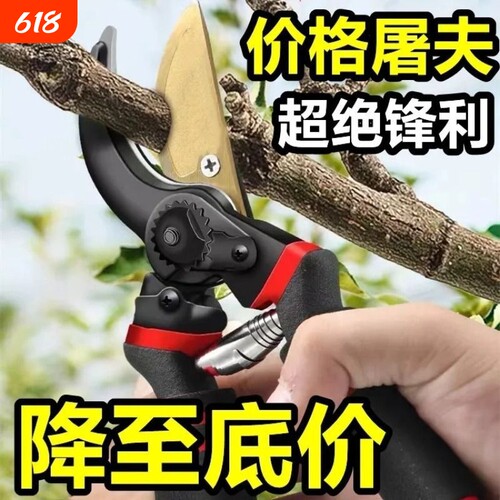 sk5剪枝剪刀园林花艺修剪树枝剪
