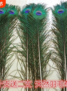 家居饰品摆件孔雀羽毛纯天然真孔雀毛花瓶装饰品孔雀翎尾婚庆艺术