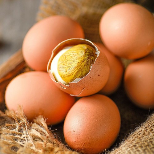 五香毛蛋活珠子13天新鲜凤凰蛋喜蛋胚胎蛋钢化蛋即食旗舰店香辣