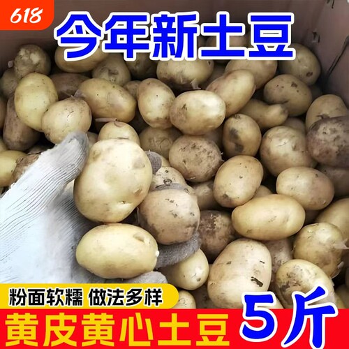 恩施富硒小土豆农家马铃薯