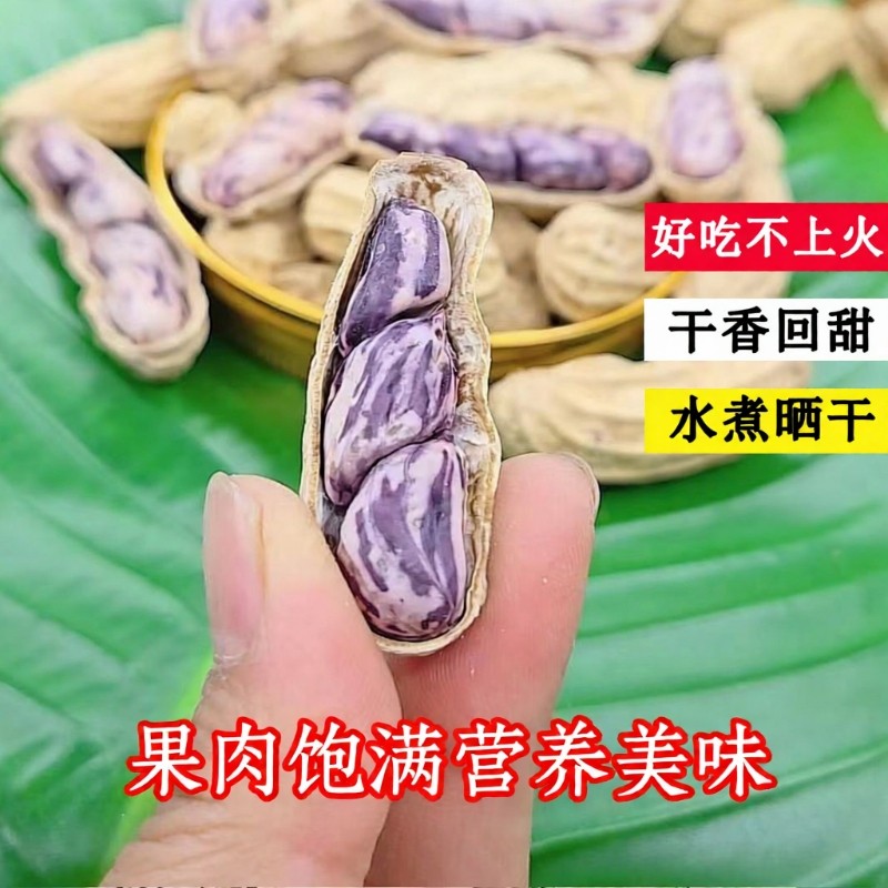 七彩花生水煮咸干晒干五彩花生云南特产湿烤原味彩色花生不上火