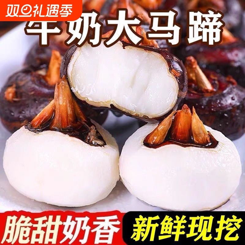 正宗荸荠新鲜地栗当季农家地梨
