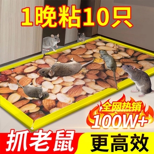 粘鼠板强力胶老鼠贴粘大老鼠新款 加大厚超强家用扑捉器驱捕鼠神器