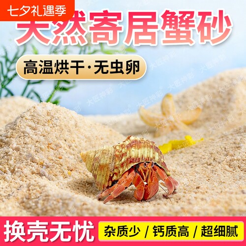 天然海沙寄居蟹沙子专用养蟹螃蟹乌龟沙颗粒底砂细沙免洗平台石子