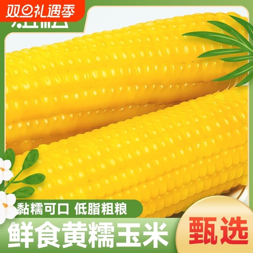 东北黄糯玉米棒真空装软糯香甜现摘新鲜黏玉米粗粮代餐10棒当季