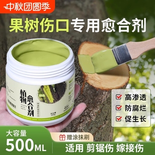 樹(shù)木傷口愈合劑嫁接愈合膏植物樹(shù)皮盆景果樹(shù)切口專用涂膜劑修剪