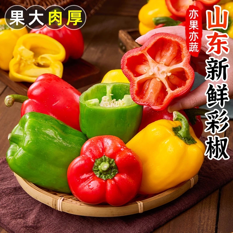 山东寿光彩椒新鲜现摘甜椒可生吃水果辣椒红黄绿三色沙拉蔬菜