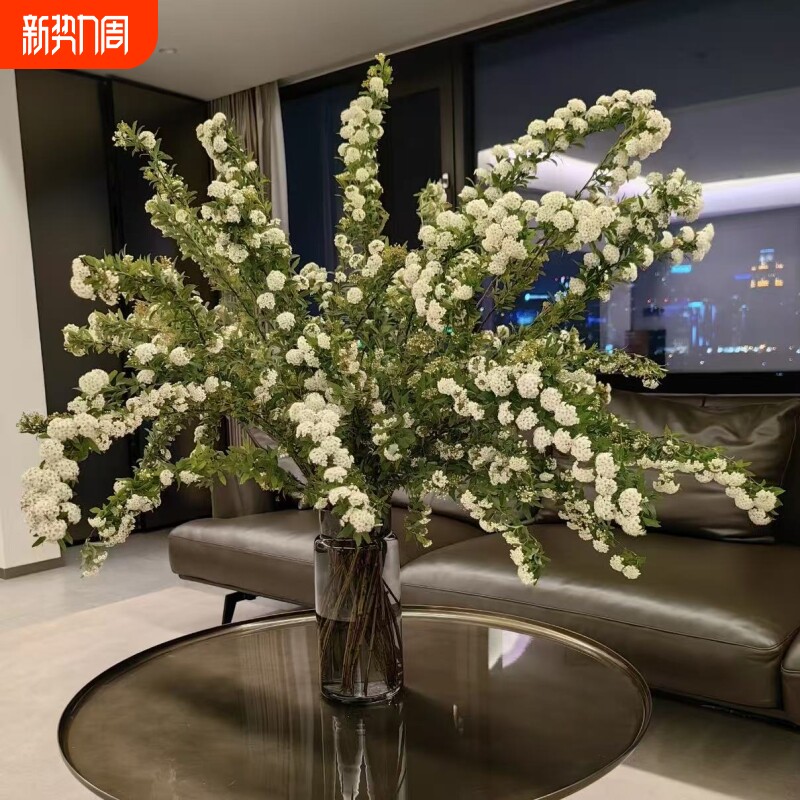 小手球鲜切花水培绿植水养鲜花室内摆设插瓶植物切枝云南基地直发