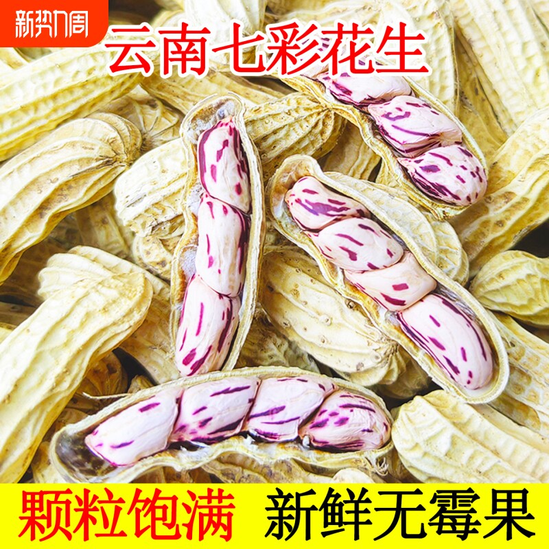 七彩花生云南特产带壳七彩花生米2025新货生熟水煮咸干五彩花生
