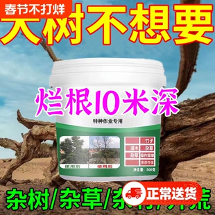 大树烂根强力腐树根正品枯树王烂树竹子竹根杂草灌木枯死腐根剂Z