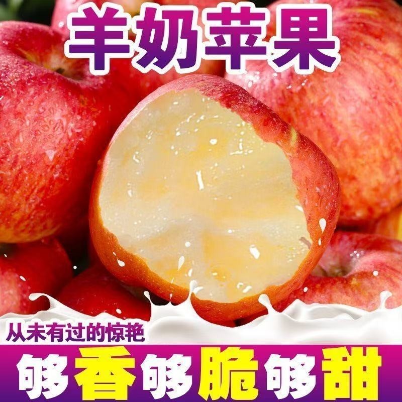 【良心挑选】正宗山西万荣羊奶苹果当季新鲜水果脆甜一整箱批发
