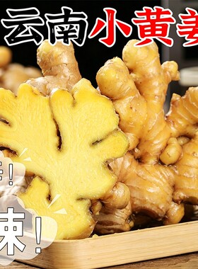 云南小黄姜老姜生姜鲜姜新鲜现挖自种姜嫩蔬菜整箱批发农家辛辣