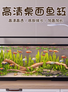 生态鱼缸带盖过滤制氧一体透明客厅乌龟饲养缸底部排水桌面增氧