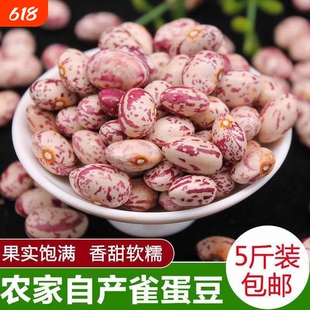 云南雀蛋豆奶花芸豆新货杂粮新鲜豆米麻雀豆饭豆子花生云豆类花豆