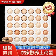 礼金+金币正宗农家散养土鸡蛋20枚