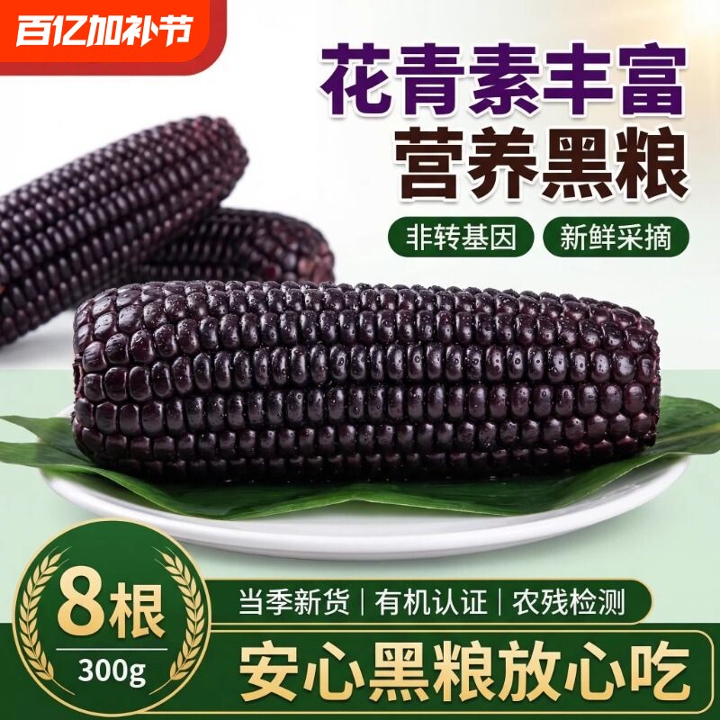 头茬黑玉米糯玉米棒新鲜真空包装苞米甜糯紫糯米非转基因香甜软糯