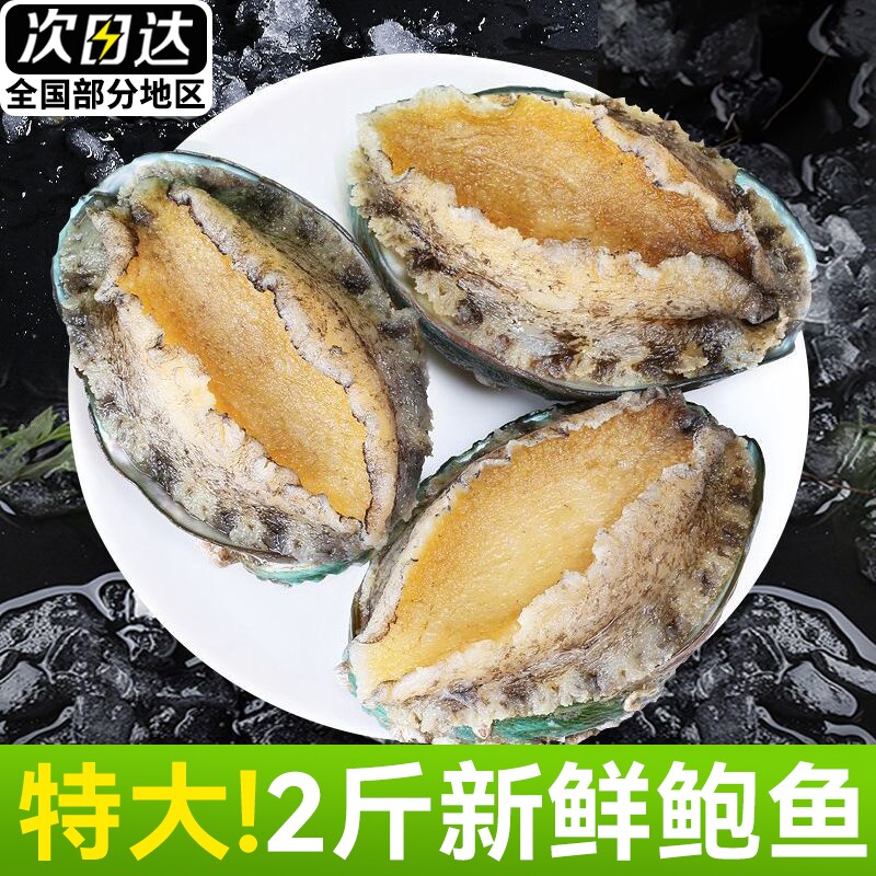 新鲜特大鲍鱼肉【顺丰闪送】图片