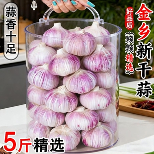 山东金乡紫皮大蒜头干蒜3斤/5斤/9斤批发新鲜蒜头农家自种蒜米