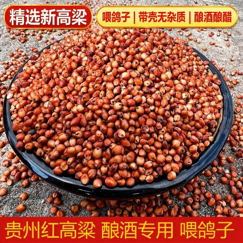 高粱酿酒专用高粱米鸽粮红高粱新米带...