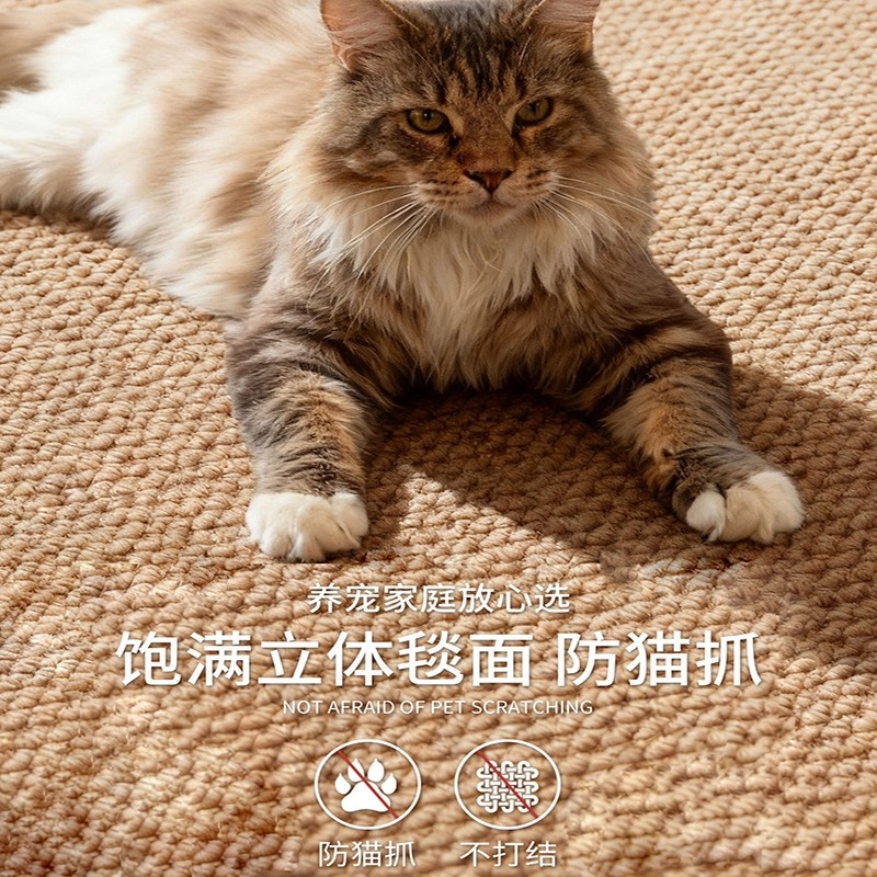 仿剑麻中古风地毯客厅2026新款防猫抓可机洗亚麻编织宠物养猫地毯