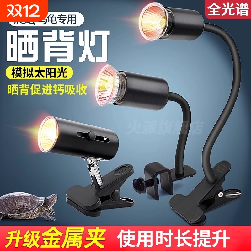 【超8000人点赞】宠物乌龟晒背灯