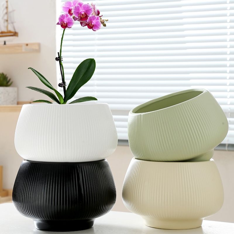 特大号陶瓷多肉盆|超1.2万次加购