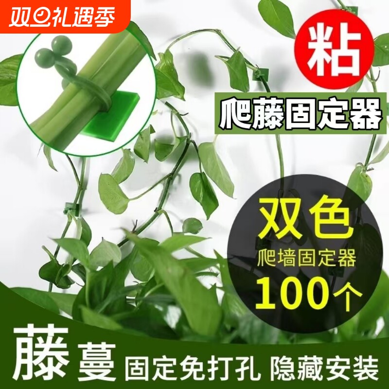 绿萝爬上神器爬墙上绿箩固定器