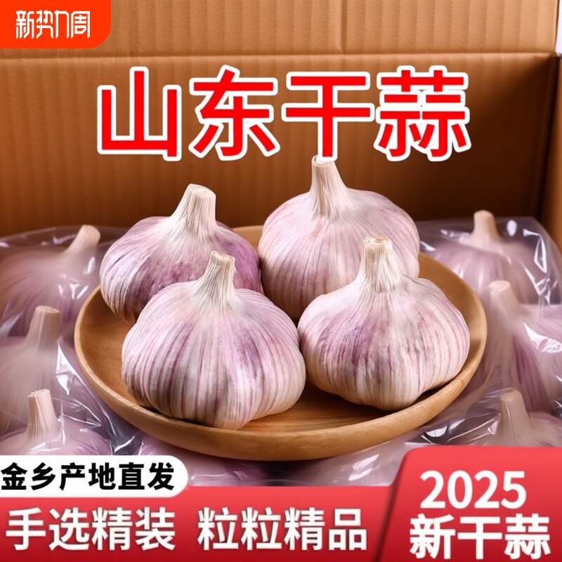 山东金乡紫皮大蒜头干蒜批发农家自种新鲜整箱批发红皮大蒜种子