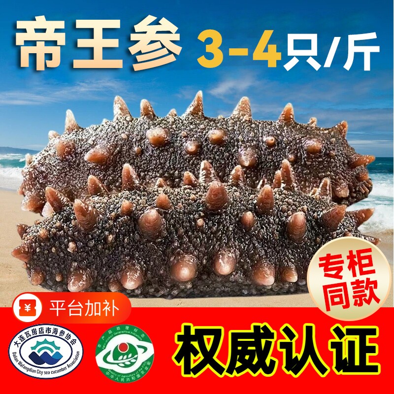 海参店贴纸海鲜鲍鱼特产店铺橱窗玻璃广告贴画冷冻礼盒装水产