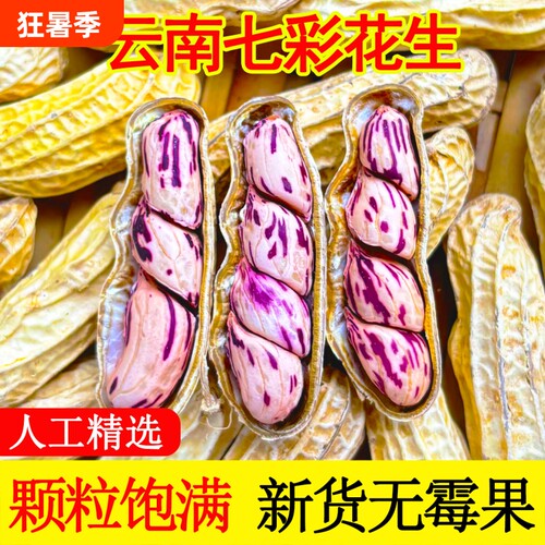2026七彩花生晒干带壳云南特产咸干花生米牛奶花生种子籽水煮原味