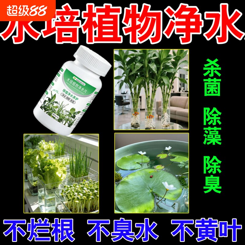 水培植物净水片增氧片营养片通用绿植水质除臭杀菌消毒养护水养图片