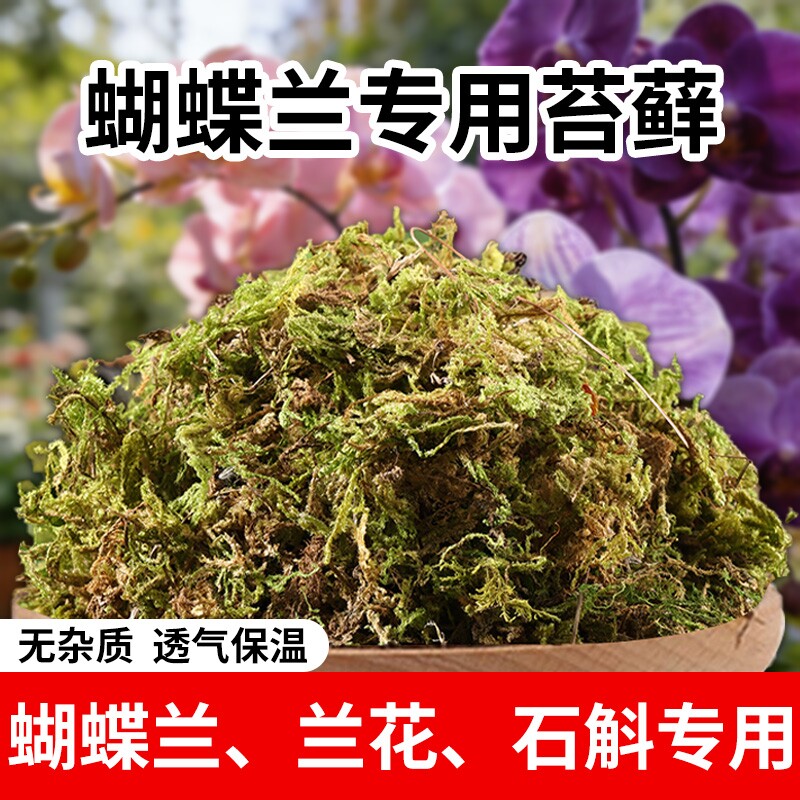 青苔干苔藓兰花蝴蝶兰石斛种植专用营养土爬宠乌龟垫材水苔铺面